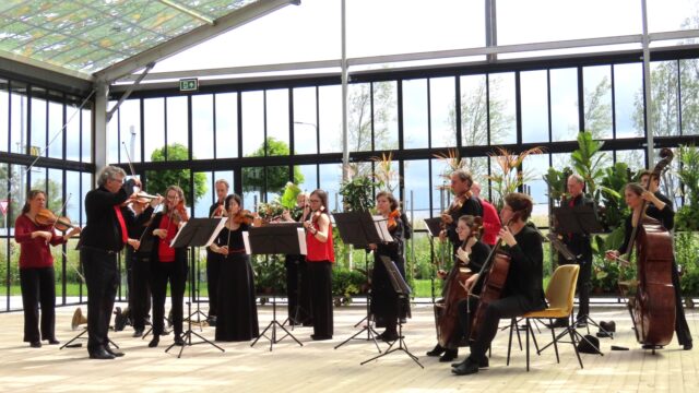 Klankreis: meekijken bij de Apollo Zomeracademie