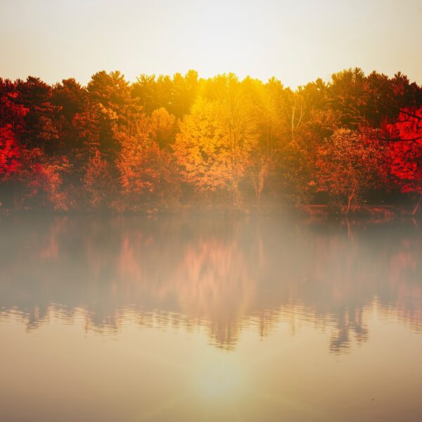Vergankelijkheid en loutering