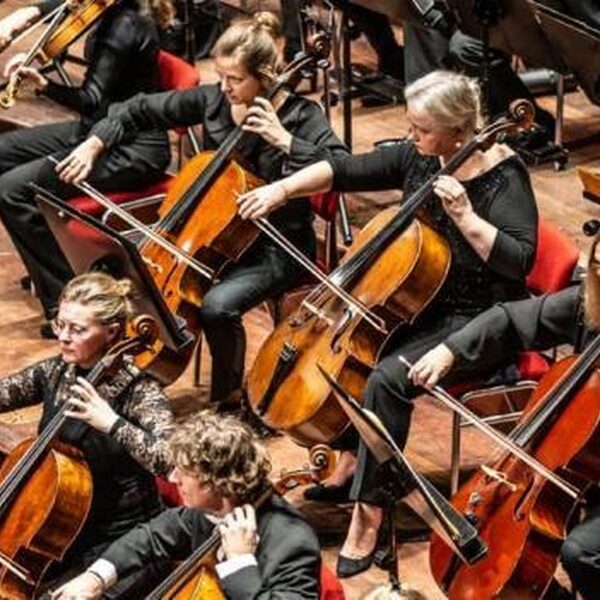 Welkom bij het Orkest