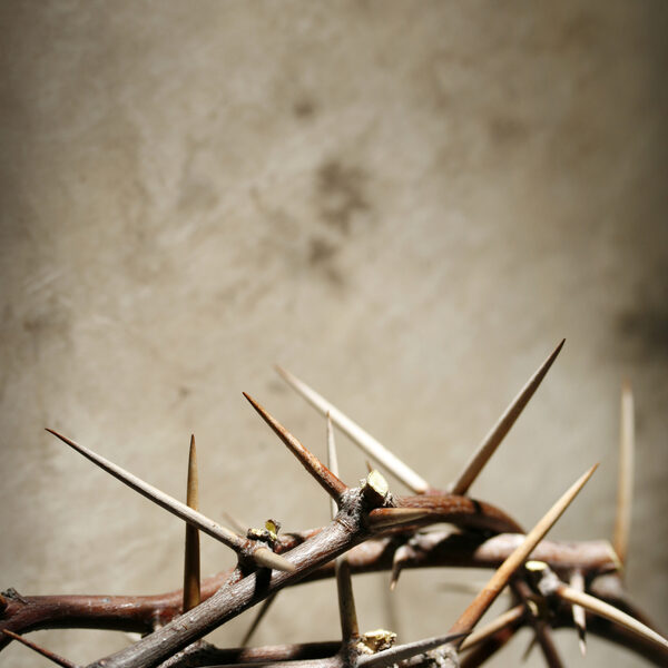 Matthäus-Passion door de Nederlandse Bachvereniging