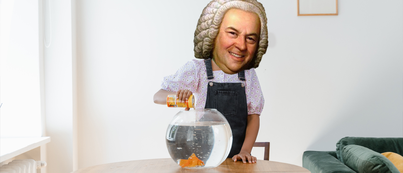 Bach geeft goudvis eten