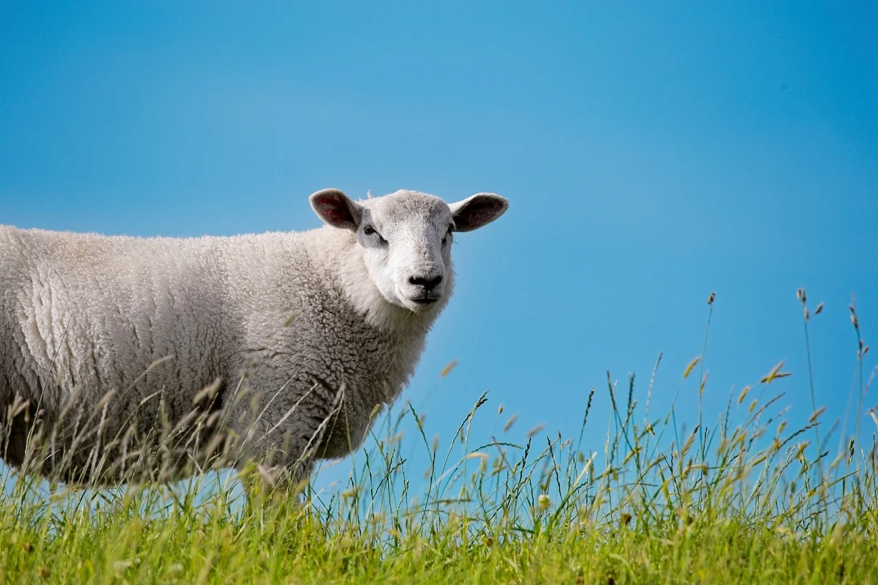 Zondag 24 mei