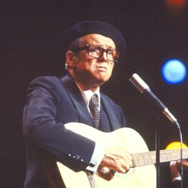 De taal van Toon Hermans