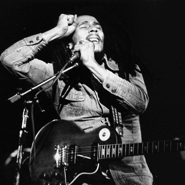 Bob Marley in vogelvlucht