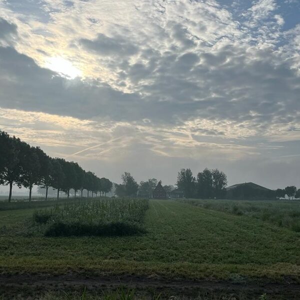 Liveblog dag 5: Schokland - Zwarte Meer - Weerribben - Nederland