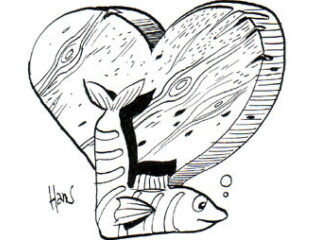 Oplossing cryptopicto donderdag 13 november