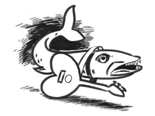 Cryptopicto donderdag 25 december