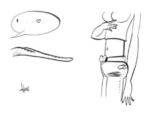 Cryptopicto vrijdag 16 januari