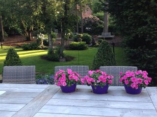 Nog niet opgelost: tindermatch ‘Salomon’