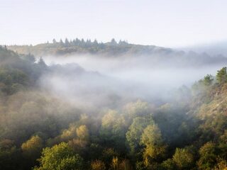De Grote Goudmijn Guppies Radiovakantie 18 juli 2021
