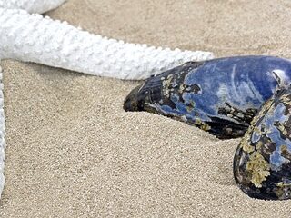 Zondag 10 oktober 2021