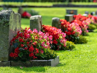 Zondag 31 oktober 2021