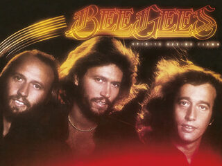 Albumhoes Puzzel: Bee Gees