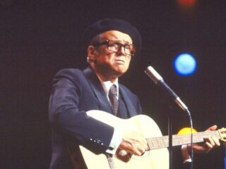 De taal van Toon Hermans