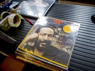 Marvin Gaye in vogelvlucht