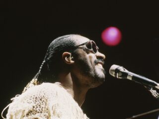 Stevie Wonder in vogelvlucht