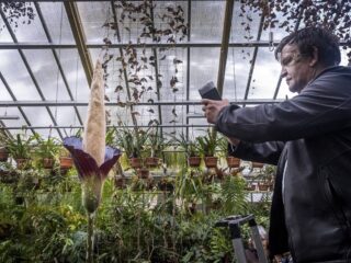 Onbekend Adres: Hortus Botanicus Leiden