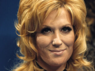 Dusty Springfield in vogelvlucht