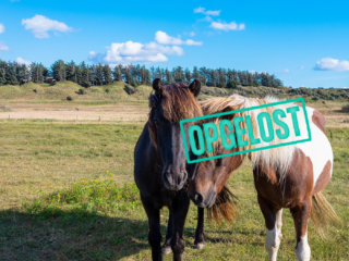 Vriendin Wendy Visser