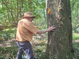 Mee op stap met 89-jarige wandelpadenonderhouder Hans