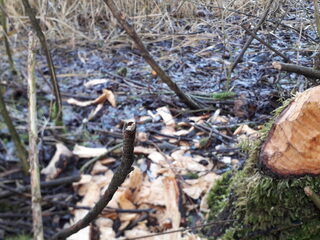 Zaterdag 8 januari 2022