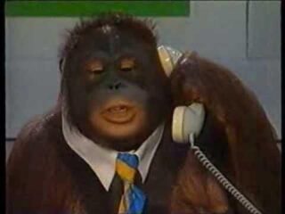 Zondag 16 maart: Apen