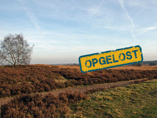 eerste liefde Irma Hillebrand