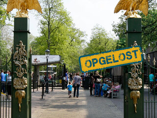 Vervolg: Nathan zocht chimpanseeverzorger Gerard van der Kroon