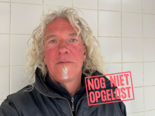 Behulpzame reiziger Noddy of Nody