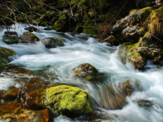 Zondag 20 maart 2022