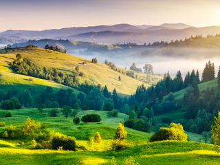 Zondag 24 april 2022