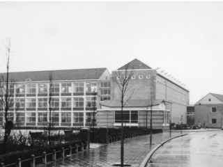 Nog niet opgelost: Jeugdliefde Jos Driessen