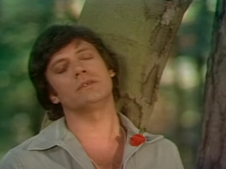 Rob de Nijs in videoclips