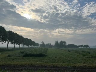 Liveblog dag 5: Schokland - Zwarte Meer - Weerribben - Nederland
