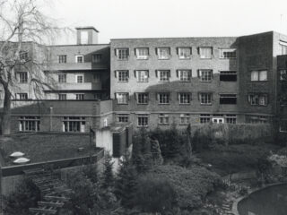 Vriendin Trees Dekker