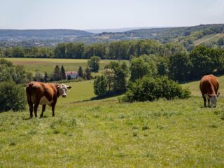 De Streek van de Week in Open Huis & Thuis op 5