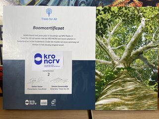 Het Goudmijnboomcertificaat