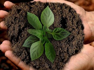 Zondag 21 februari 2021