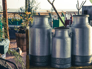 Zaterdag 19 februari 1976