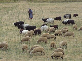 Speellijst 14 januari