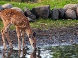 Speellijst 11 januari
