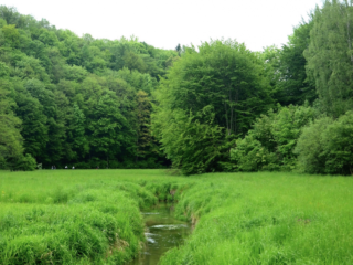 Speellijst 12 januari