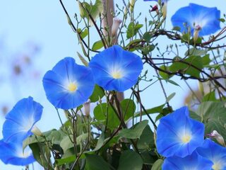 Speellijst 9 september