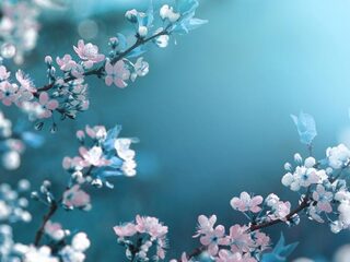 Speellijst 16 september