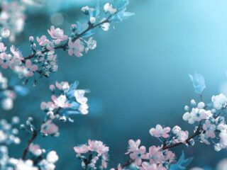 Speellijst 16 september