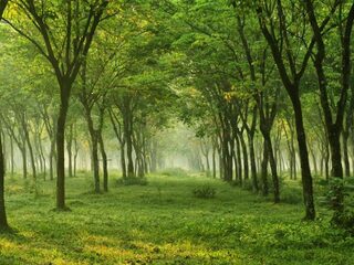 Speellijst 21 oktober