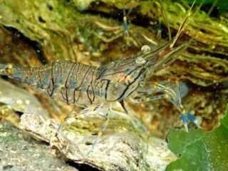 Uitzending 26 augustus