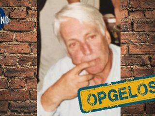 halfbroer Michiel Vos