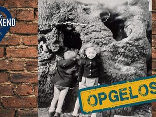 nichtje Monique Manuputty