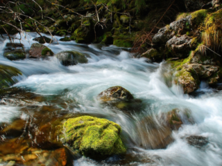 Speellijst 26 augustus